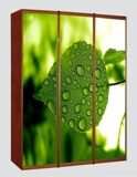 ЗЕЛЕНЫЙ ШКАФ КУПЕ 79