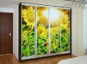 ЗЕЛЕНЫЙ ШКАФ КУПЕ 19